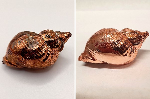 Electroformed copper seashell with patina and fresh copper finish
